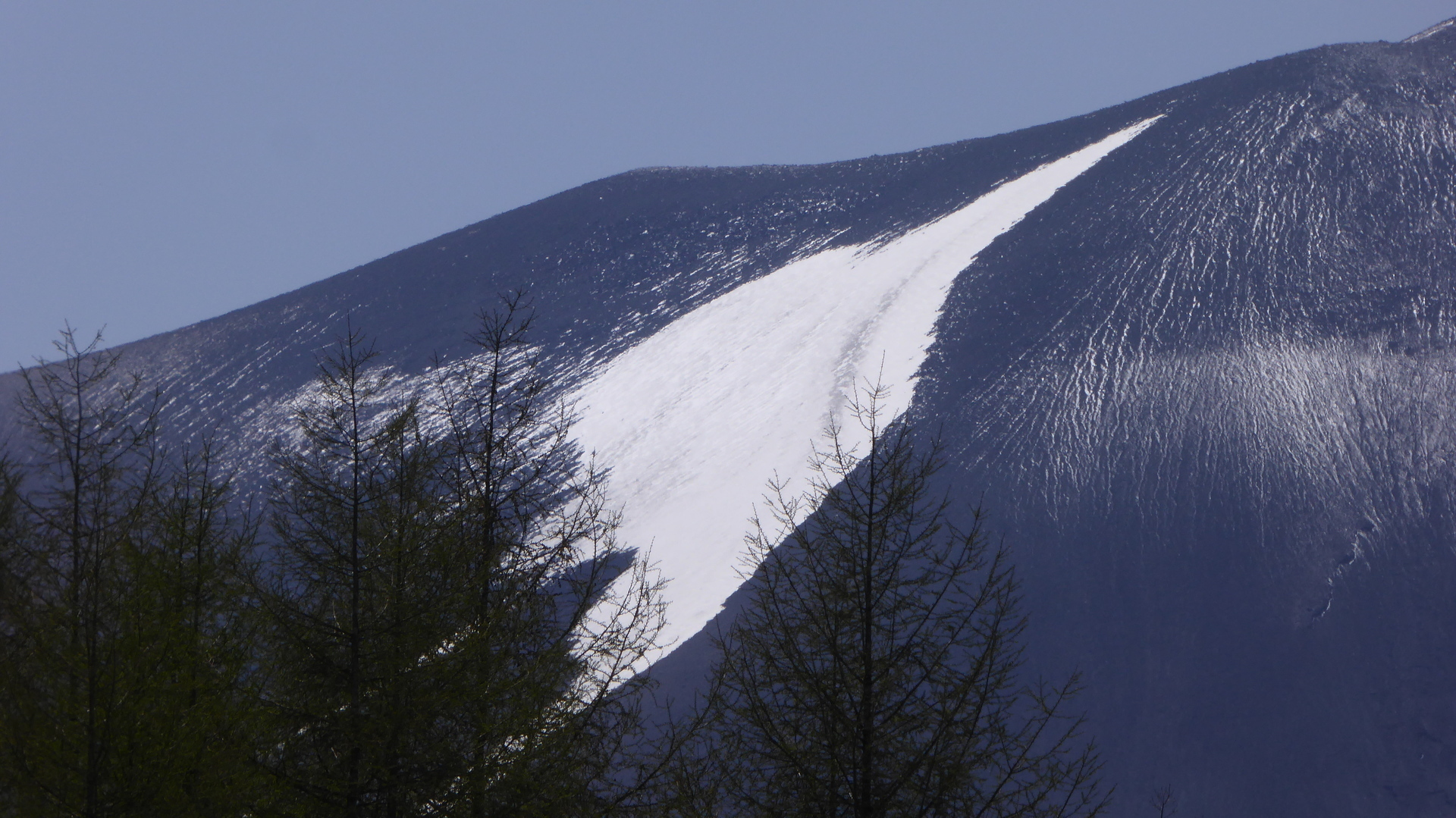 赤字超特価SALE残雪と枯れ木 自然、風景画